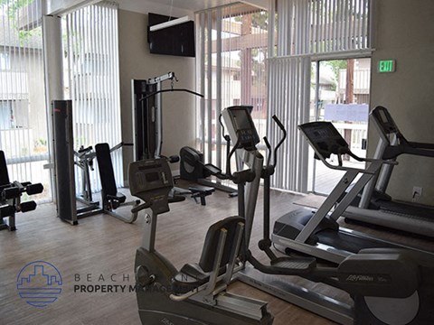 A gym with treadmills, elliptical machines and a television.