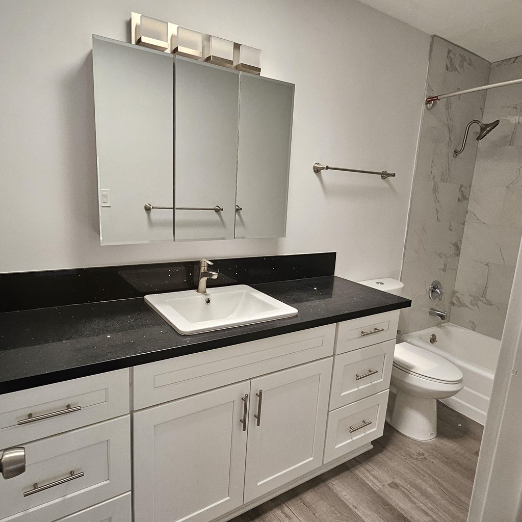 a bathroom with white cabinets and a sink and a toilet