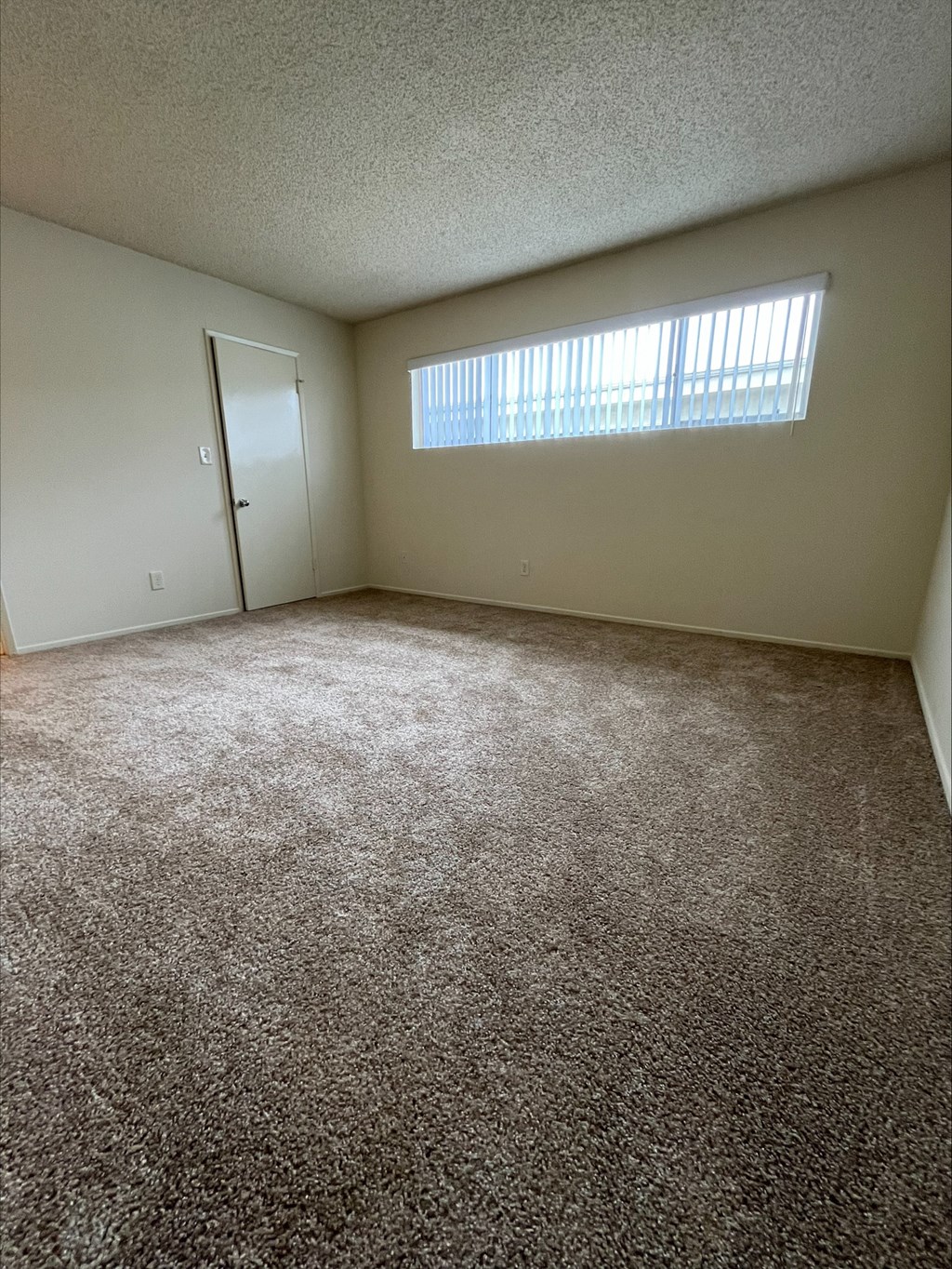 an empty living room with carpet and a window