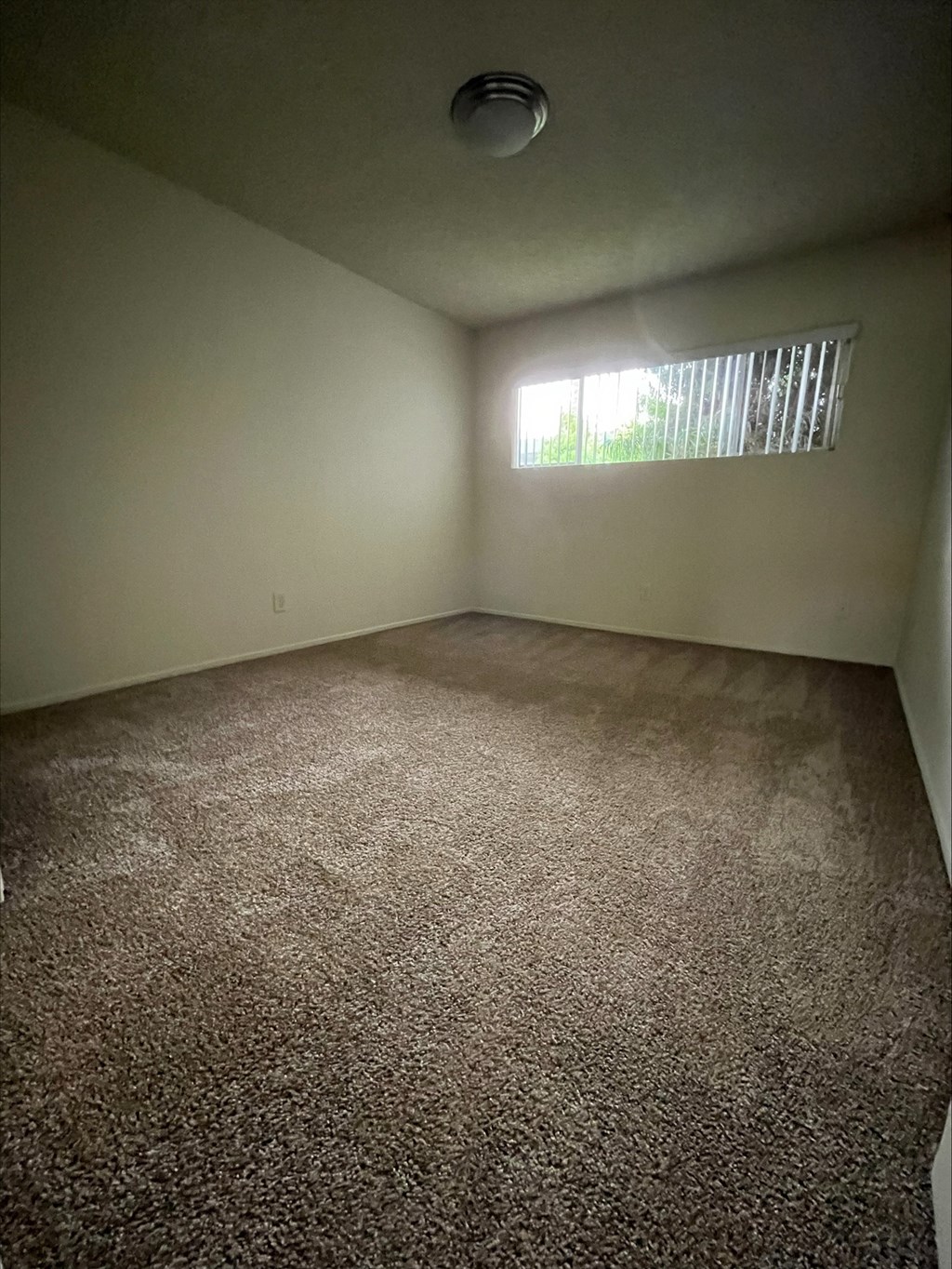 an empty room with carpet and a window