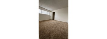 an empty living room with carpeting and a window