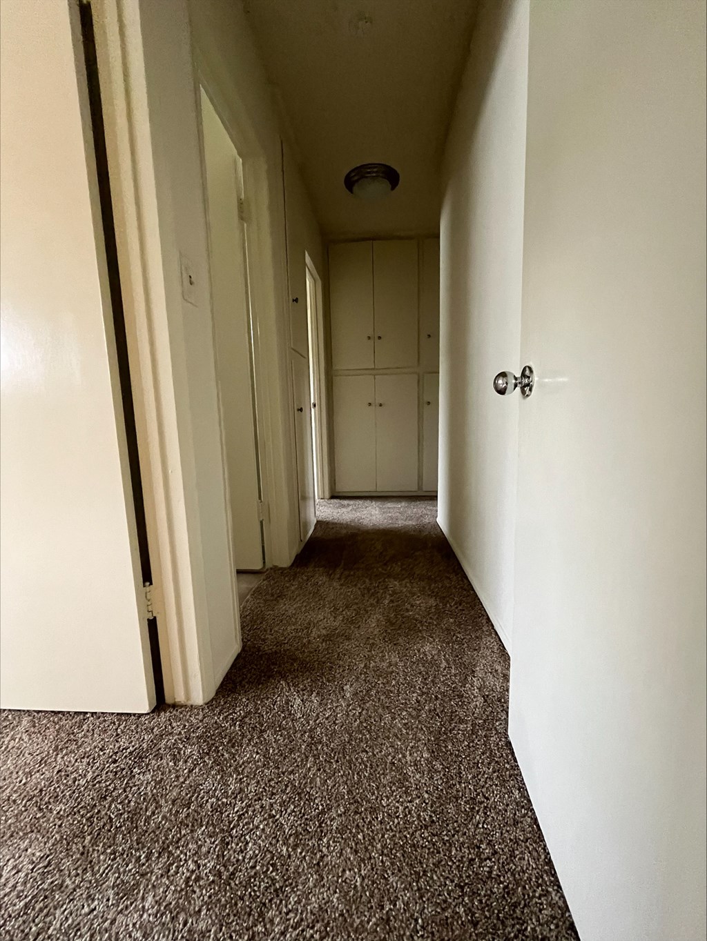 a hallway with a carpeted floor and white walls and a closet