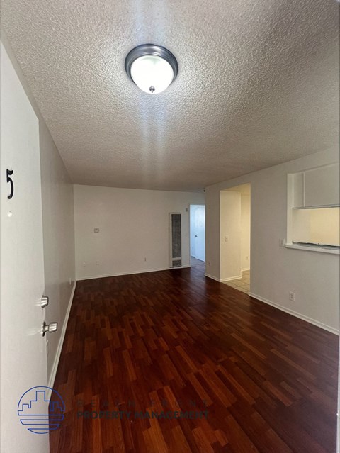 an empty living room with a wood floor and a ceiling light