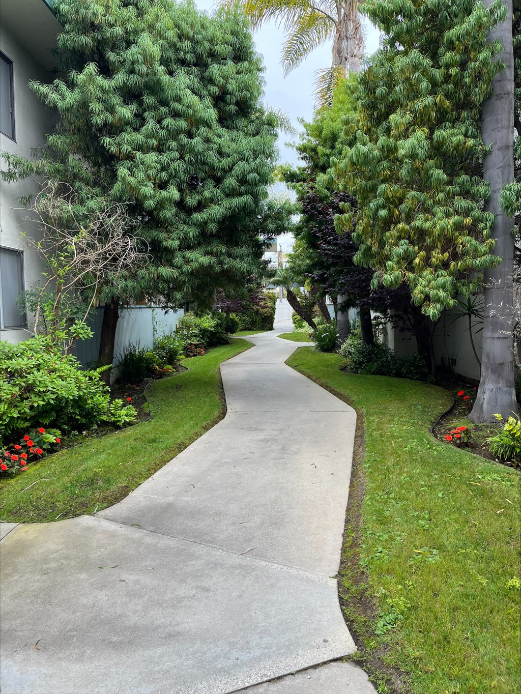 a sidewalk between trees and grass in front of a building