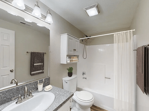 A bathroom with a white toilet, sink, and shower.