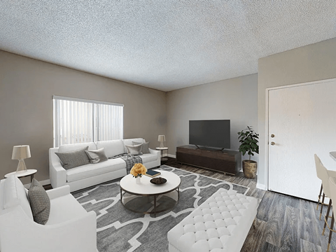 A living room with a white couch, a grey rug, and a television.