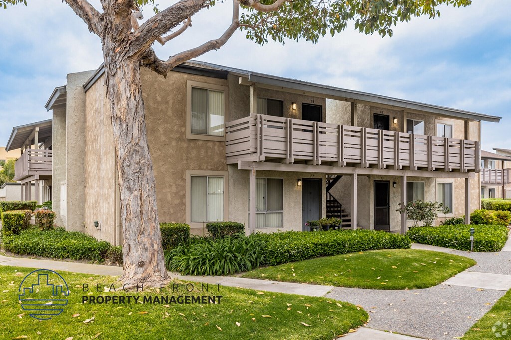 A tree stands in front of a building with the words "Beachfront Property Management" written on it.