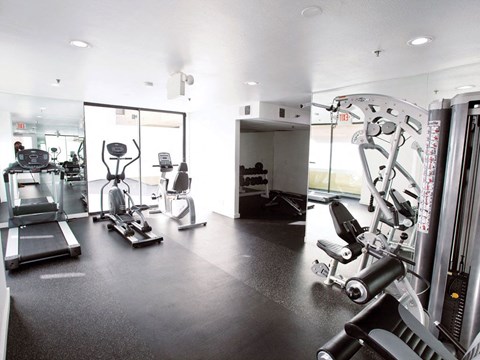 a gym with cardio machines and weights on the floor