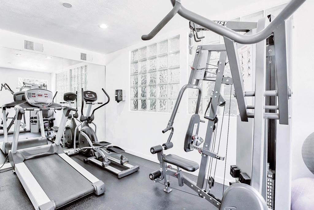 the gym is equipped with cardio equipment and weights