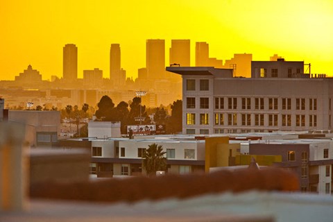 the city at sunset