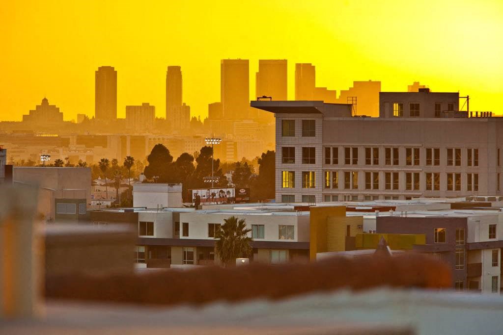 the city at sunset with the skyline in the background