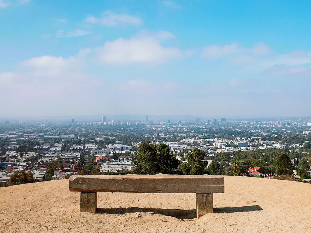 a bench sitting on top of a hill overlooking a city