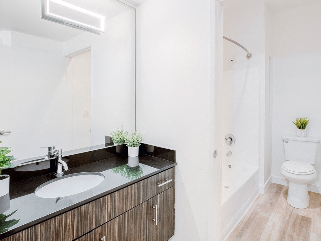 a bathroom with a sink and a toilet