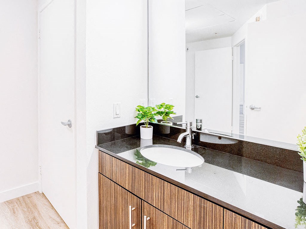a bathroom with a sink and a mirror
