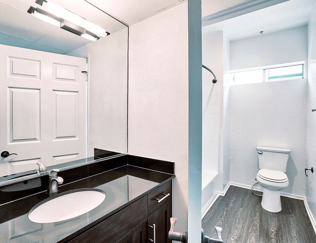 a bathroom with a toilet and a sink and a mirror