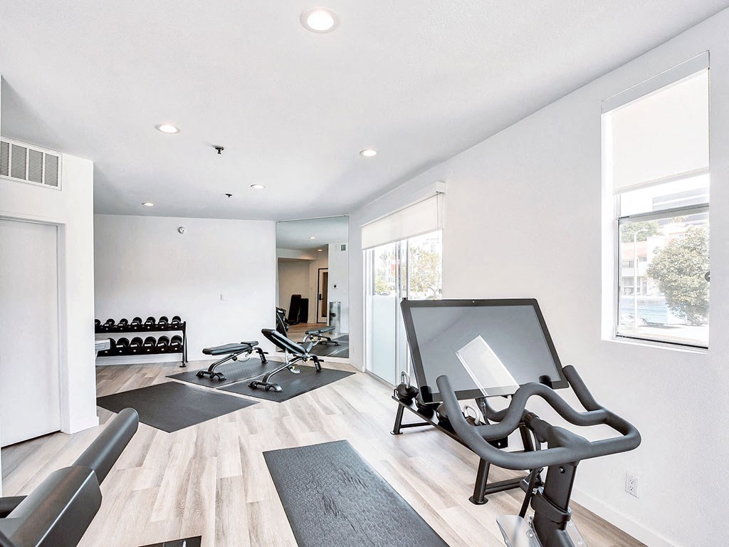 the gym has plenty of exercise equipment including treadmills and dumbbells