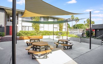 Allure Apts Canoga Park Picnic Area - Photo Gallery 4