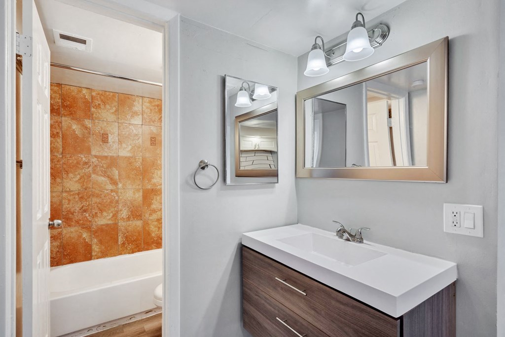 a bathroom with a sink and a mirror