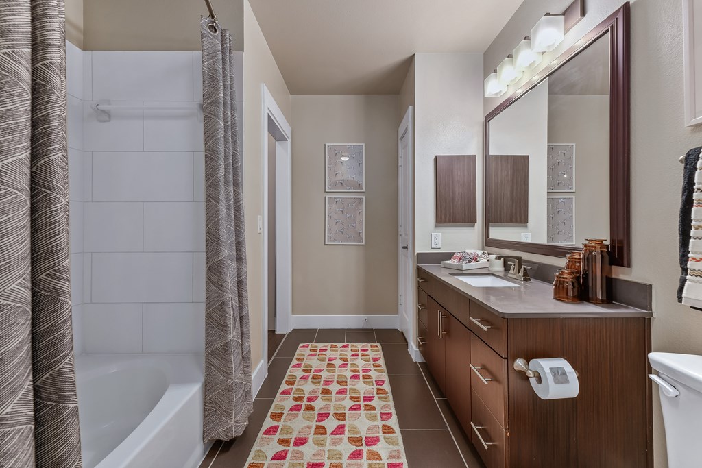 A bathroom with a patterned rug on the floor.
