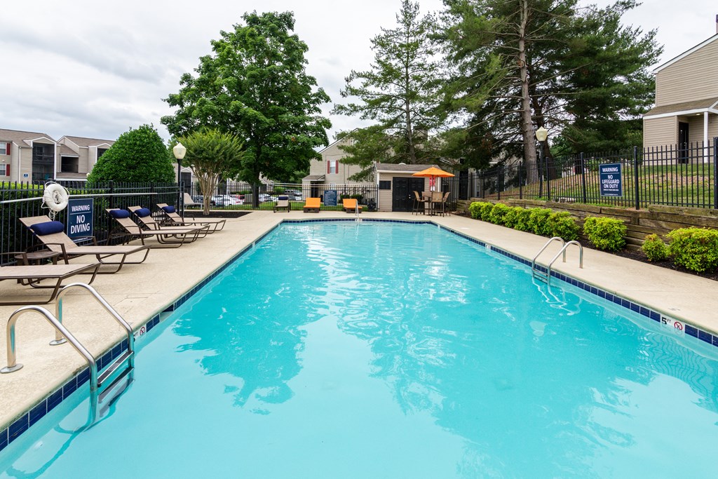 our apartments showcase a swimming pool