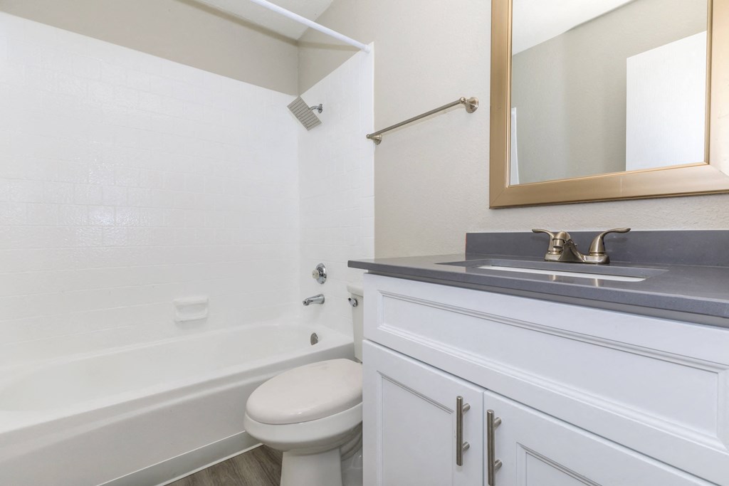 a bathroom with a sink and a toilet and a bath tub