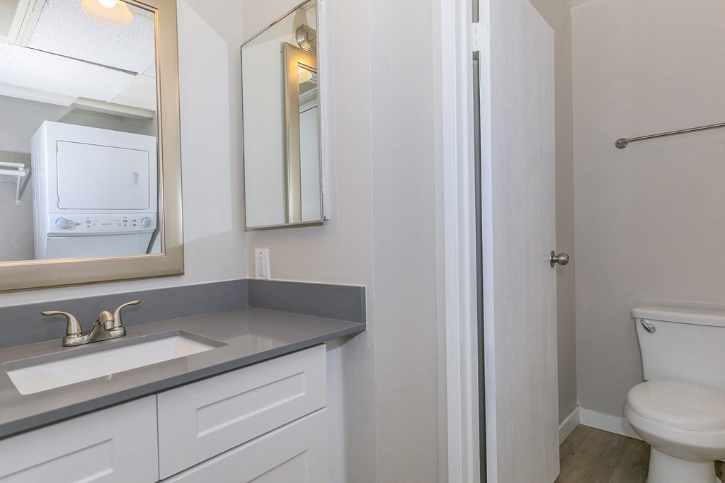 a bathroom with a sink and a toilet