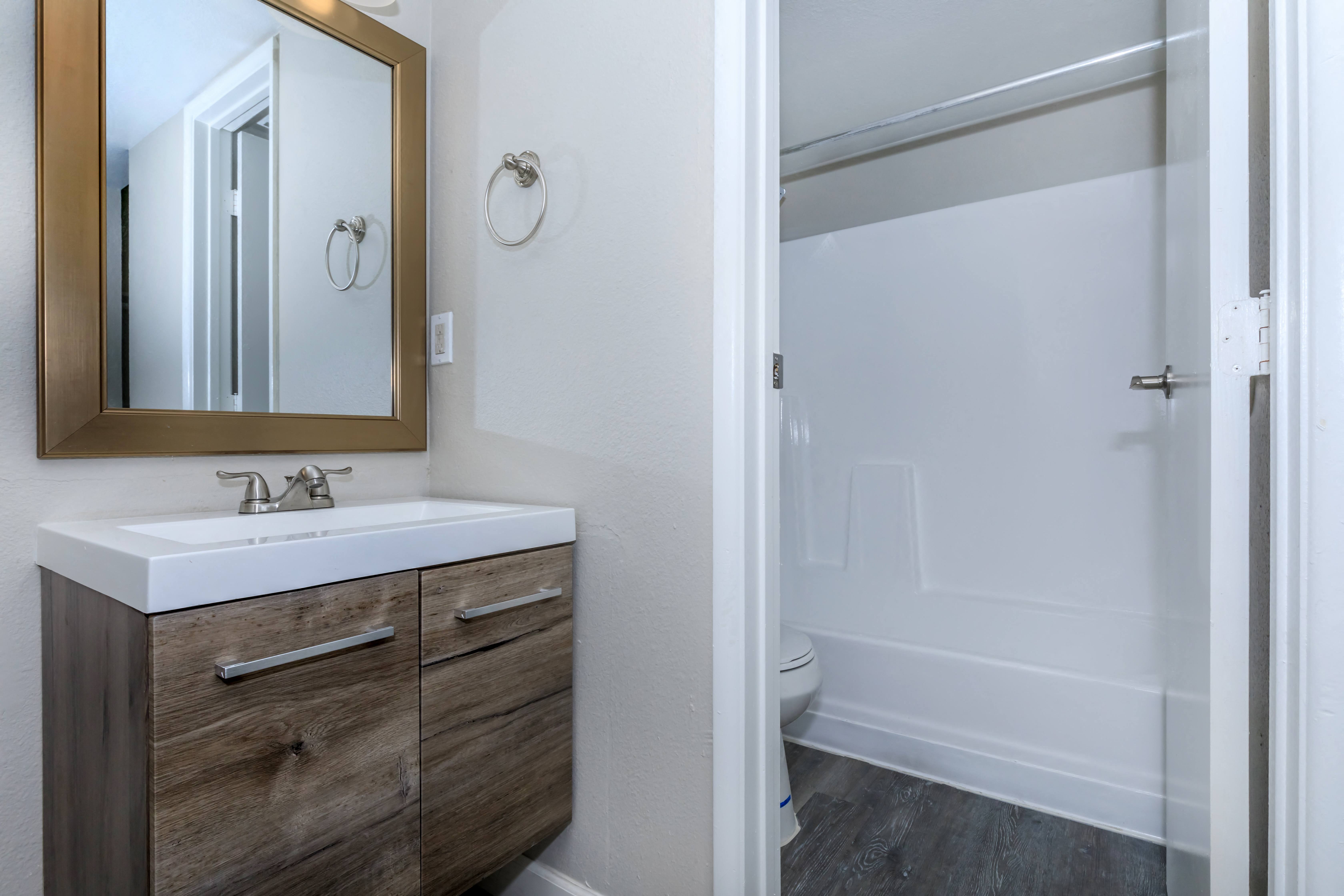 a bathroom with a sink and a shower and a mirror