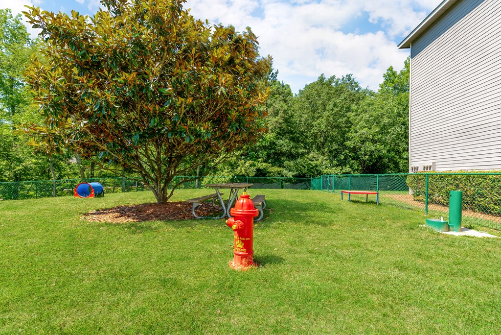 Dog Park at Waterford Creek Apartments