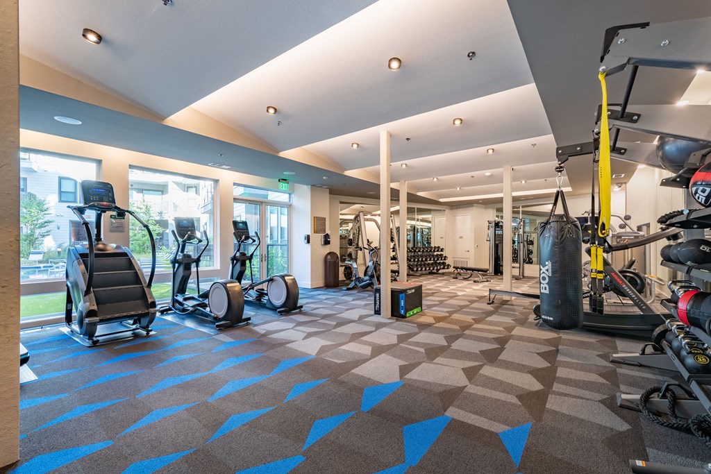 Fitness Center with Cardio and Free Weights