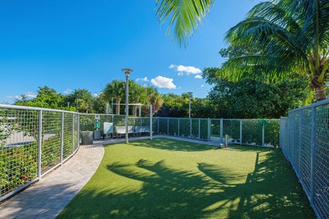 Dog park
