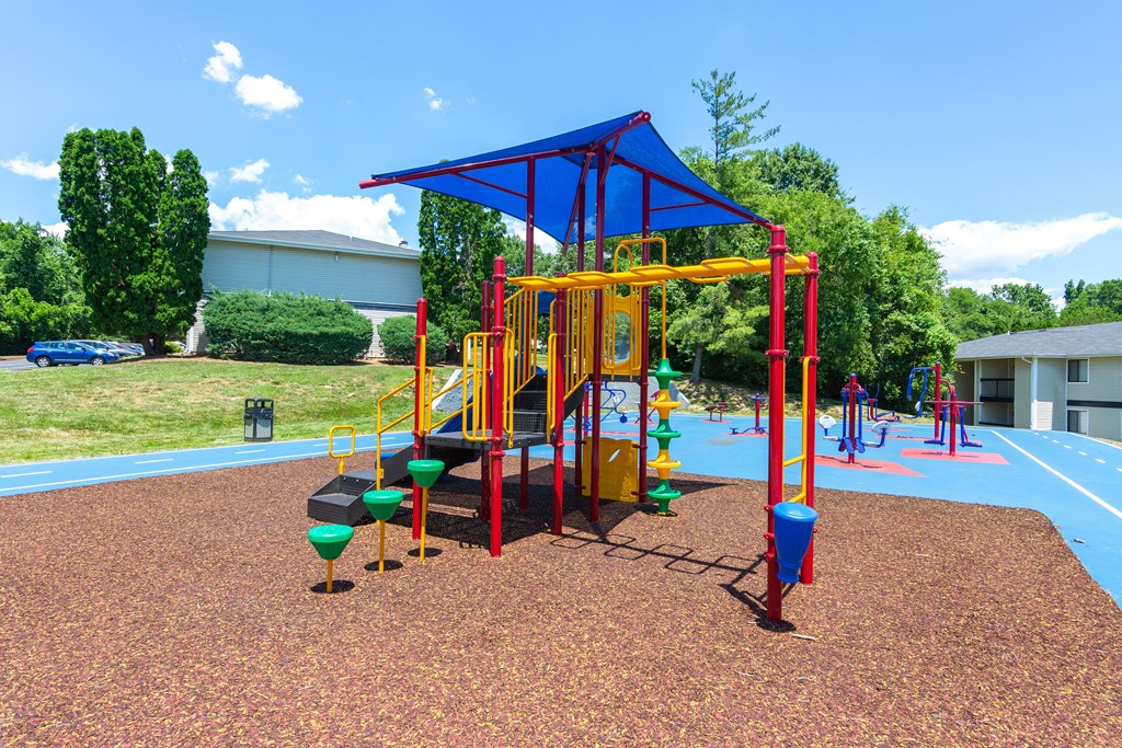 a colorful playground in the middle of a park