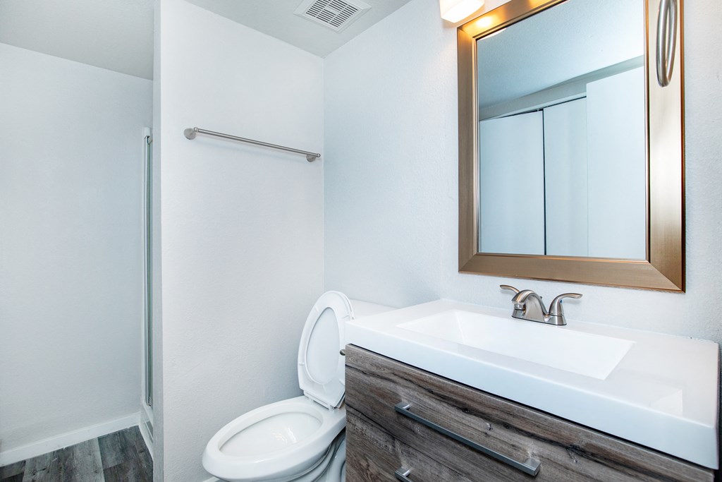 a bathroom with a toilet sink mirror and shower