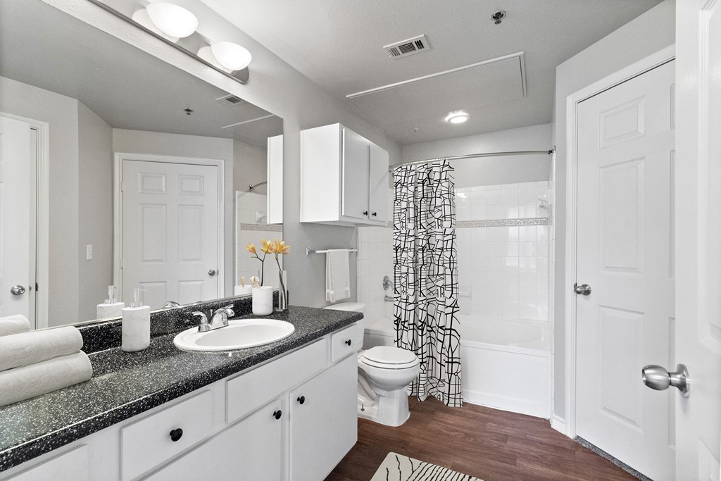 a bathroom with a sink and a toilet and a shower