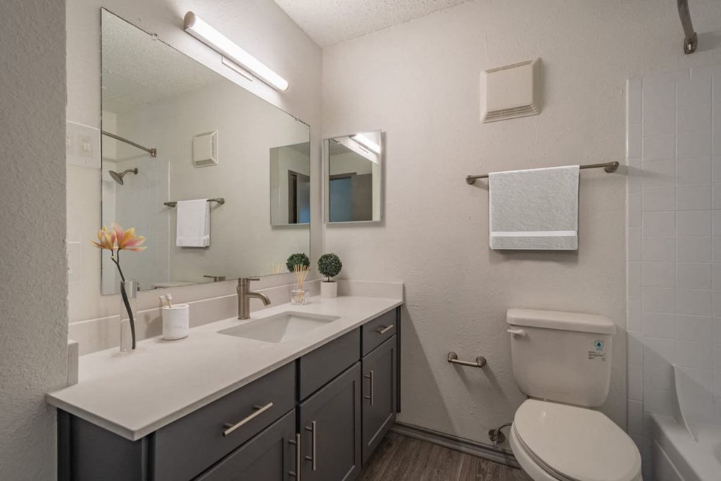 a bathroom with a toilet sink and a mirror