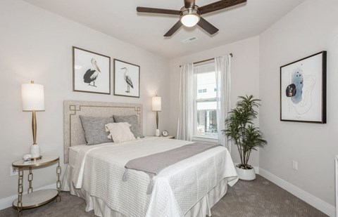 A bedroom with a bed, a ceiling fan, and a potted plant.