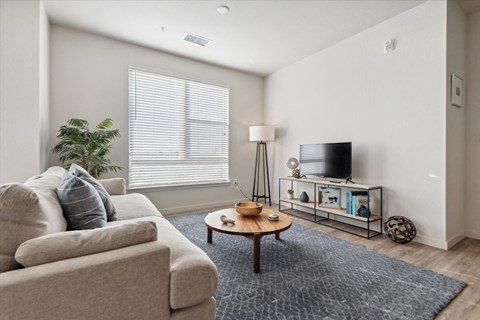 A living room with a couch, a coffee table, a television, and a plant.