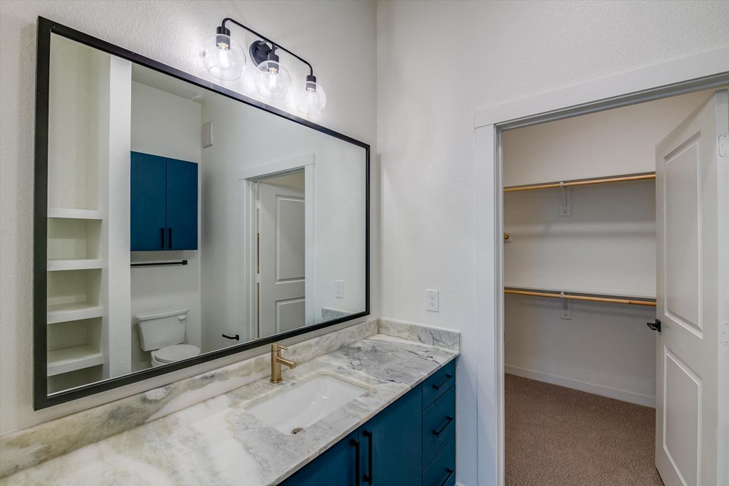 a bathroom with a sink and a mirror and a closet