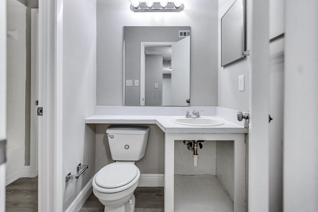 a bathroom with a toilet and a sink and a mirror