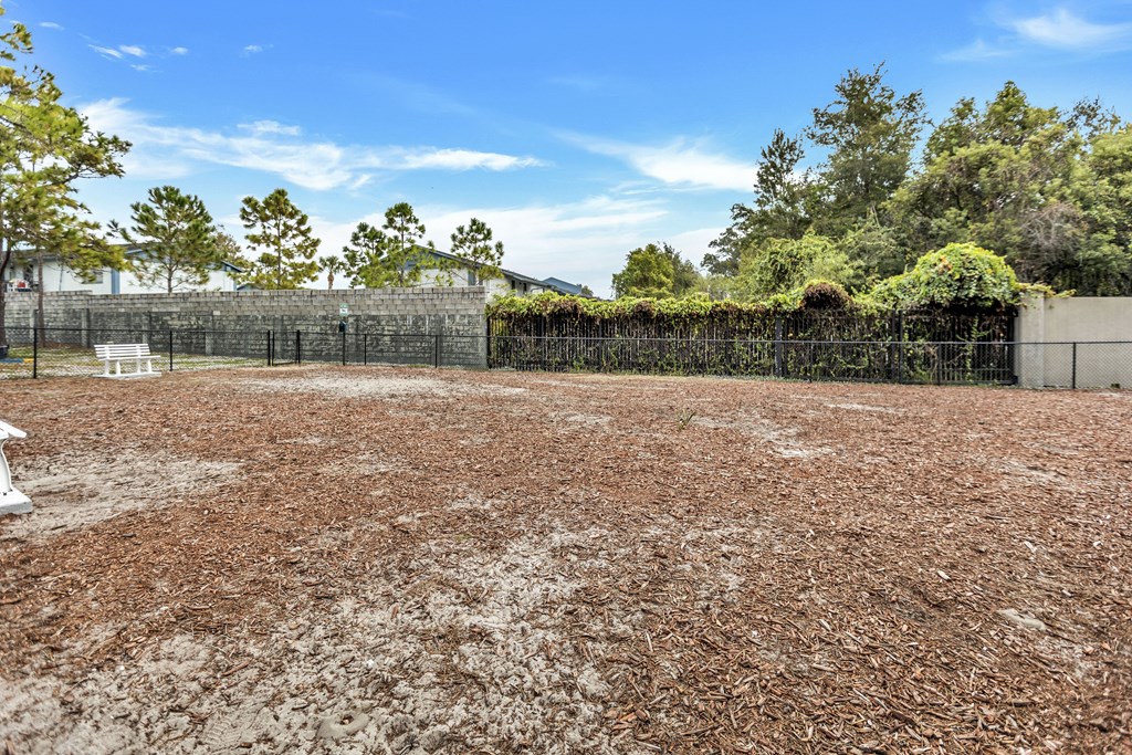 an empty yard with a fence and a bench