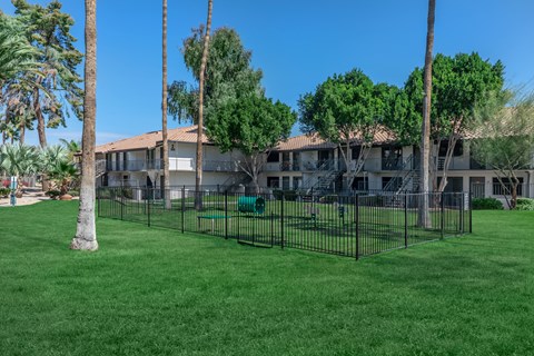 our apartments have a fenced in yard with grass and palm trees