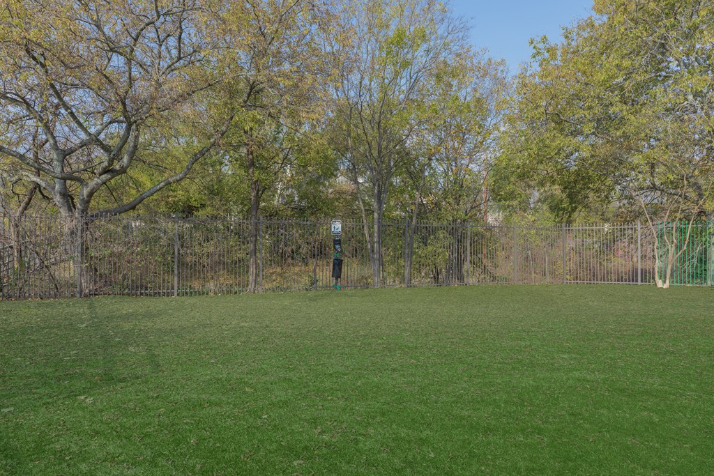 a field of green grass with trees and a fence