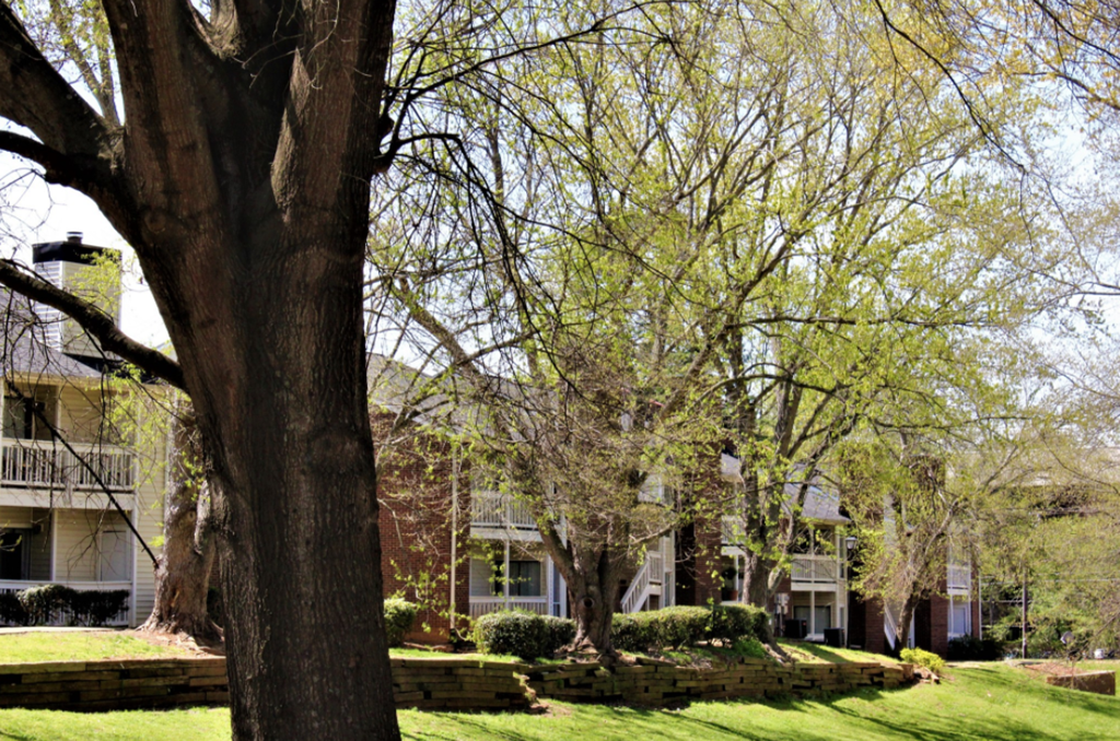 a row of houses with trees in front of them