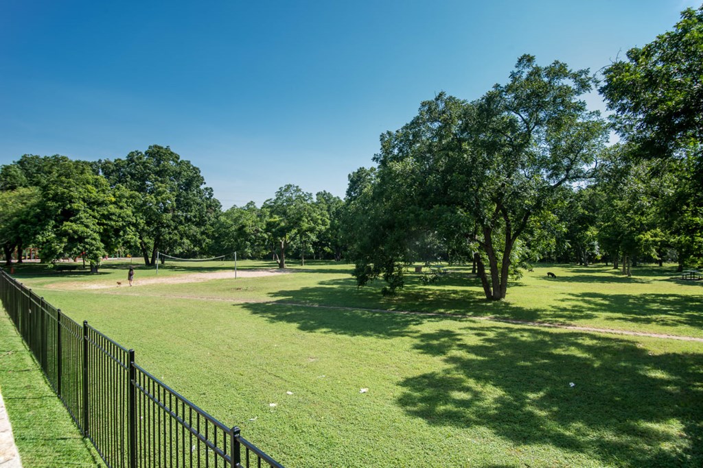 a park with green grass and trees and a black fence