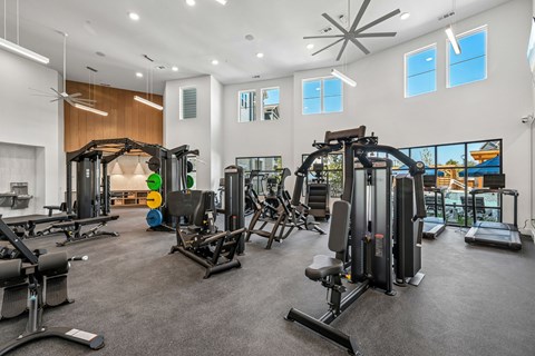 A spacious gym with a variety of equipment including treadmills, weight machines, and a television.