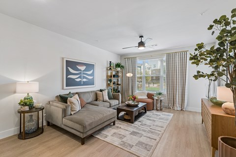 A living room with a grey couch, a coffee table, a side table with a plant, a bookshelf, and a ceiling fan.