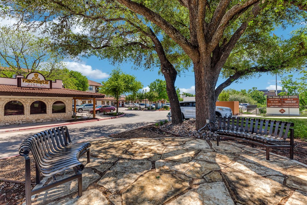two benches sitting under a tree in a park