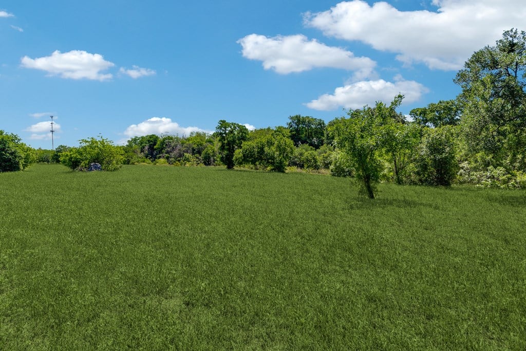 a grassy field with trees and a blue sky with clouds