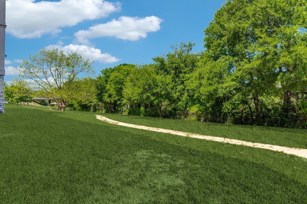 a path through the grass in a park with trees