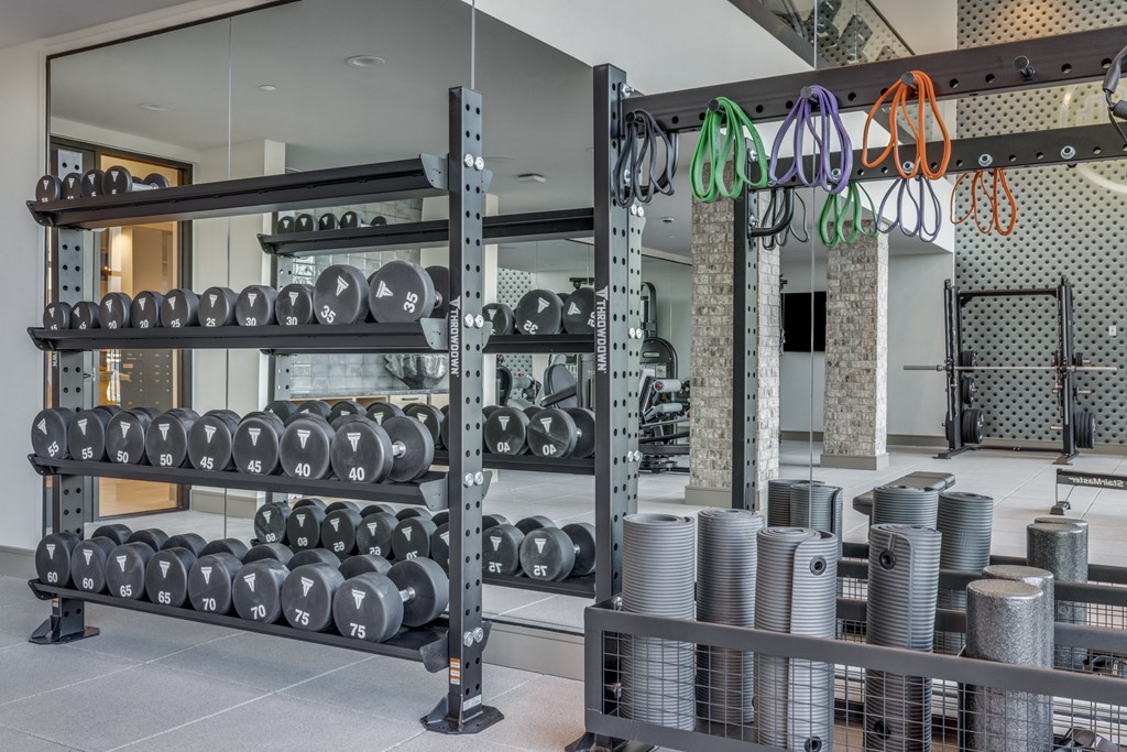 a gym with weights and racks of dumbbells