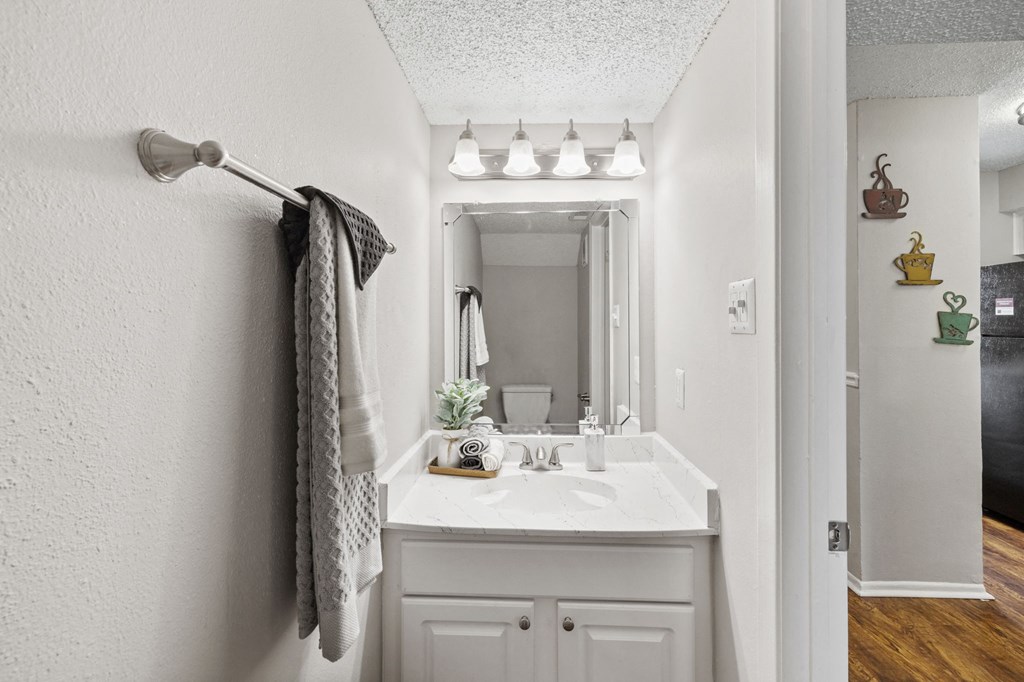 A bathroom with a white sink and a mirror.